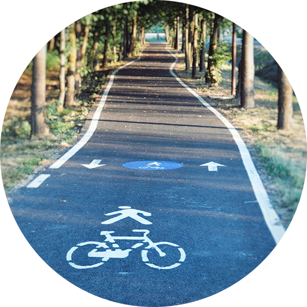 A paved dedicated bikepath between palm trees.